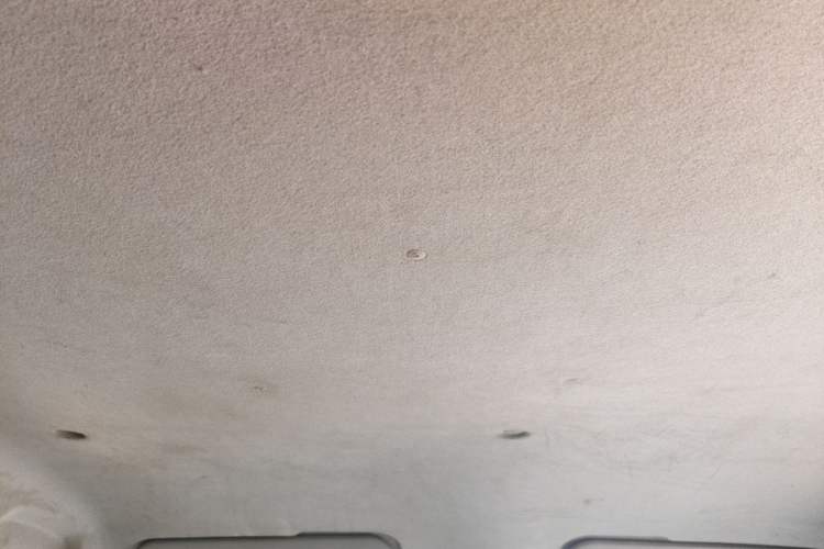 Used Farizon Xingxiang V 2024 Star Enjoy V6E Feature Edition Xuanwu 41.055 kWh Headliner