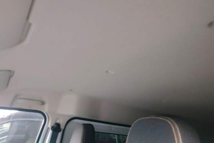 Used Farizon Xingxiang V 2024 Star Enjoy V6E Feature Edition Zhixin 46.08 kWh Headliner