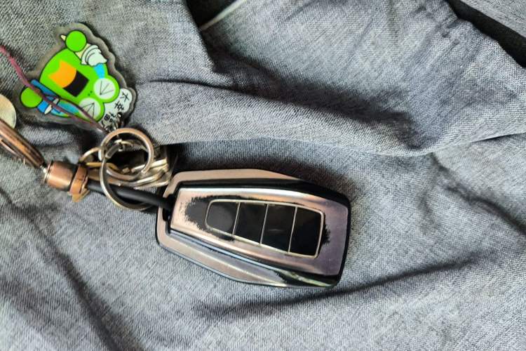 Used Farizon Xingxiang V  Vehicle Key