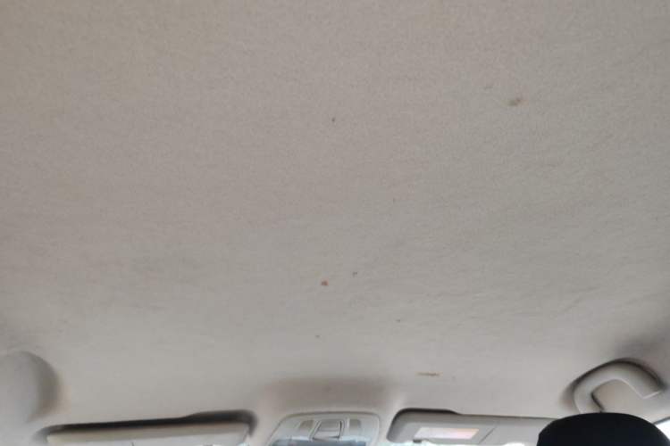 Used FAW Junpai D60 2015 1.5L Manual Standard Edition Headliner