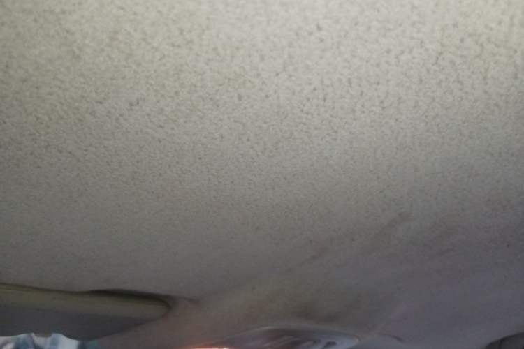 Used FAW Junpai D60 2017 1.5L Manual Standard Edition Headliner