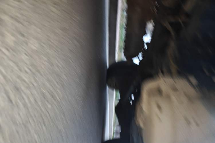 Used FAW Weile  Chassis Front Left