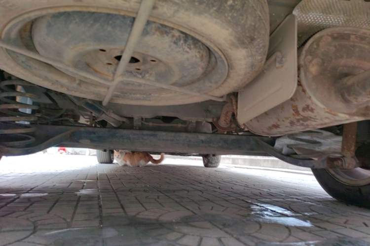 Used FAW Yingzhi 737 2015 1.5L Manual Deluxe Navigation Version Chassis Rear