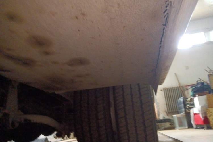 Used Feidi Ditu GX  Chassis Rear Right