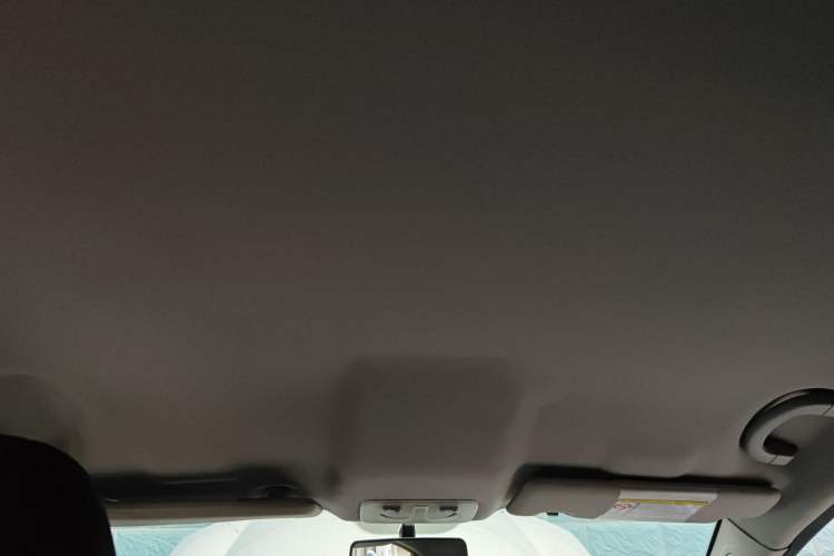 Used Fiat Bravo 2011 1.4T AMT Fashion Edition Headliner