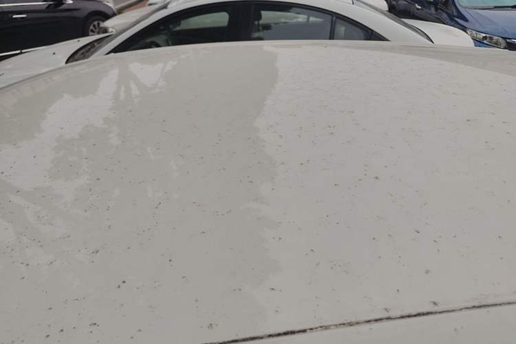 Used Fiat Ottimo 2014 1.4T Automatic Fashion Edition Roof