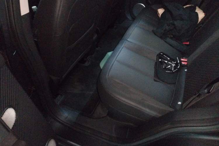 Used firefly 2025 Night Creature Special Edition Left Rear Seat