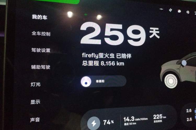 Used firefly 2025 Night Creature Special Edition Odometer Close Up