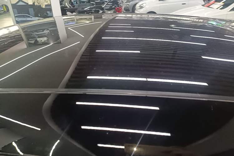 Used firefly 2025 Free Edition Roof