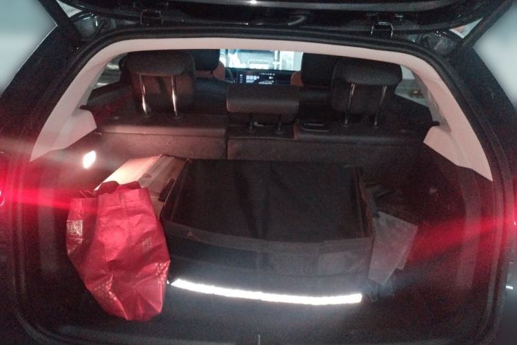 Used firefly 2025 Night Creature Special Edition Trunk