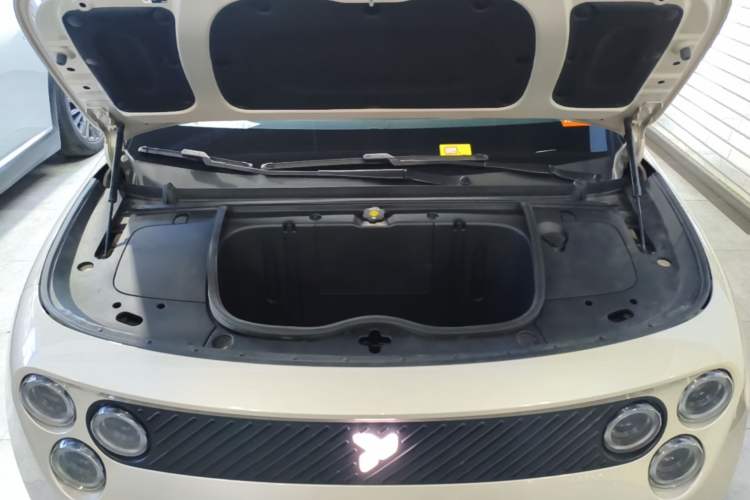 Used firefly 2025 Illuminated Edition Engine Bay