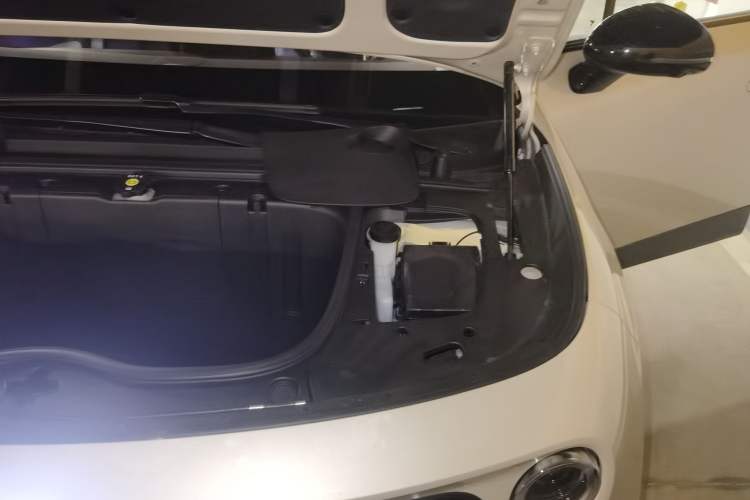 Used firefly 2025 Illuminated Edition Engine Bay Left