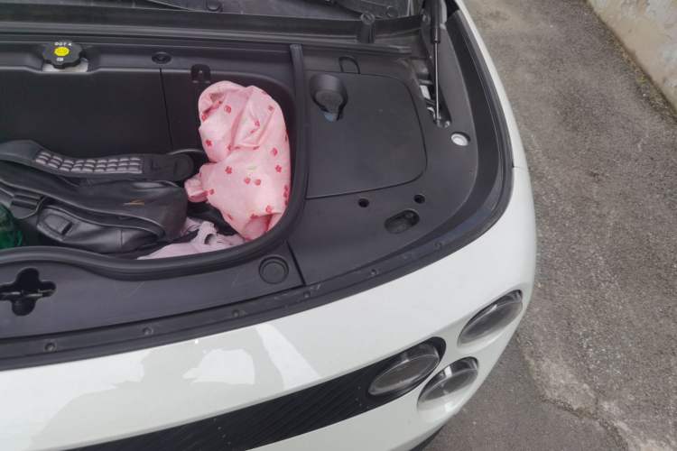 Used firefly 2025 Free Edition Engine Bay Left