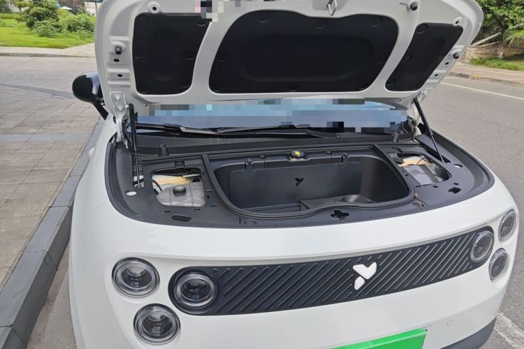 Used firefly 2025 Illuminated Edition Engine Bay Right