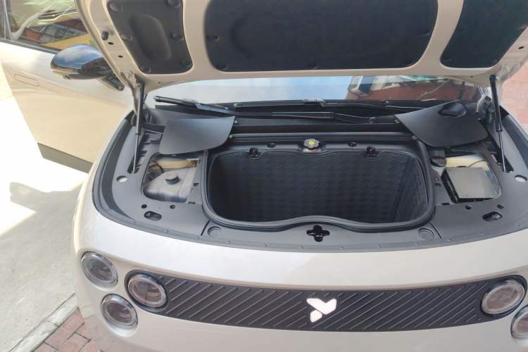 Used firefly 2025 Illuminated Edition Engine Bay Right