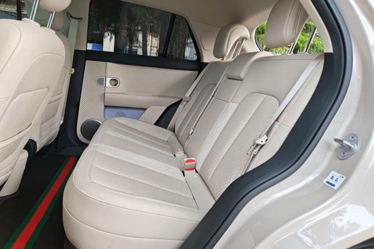 Used firefly 2025 Illuminated Edition Left Rear Seat