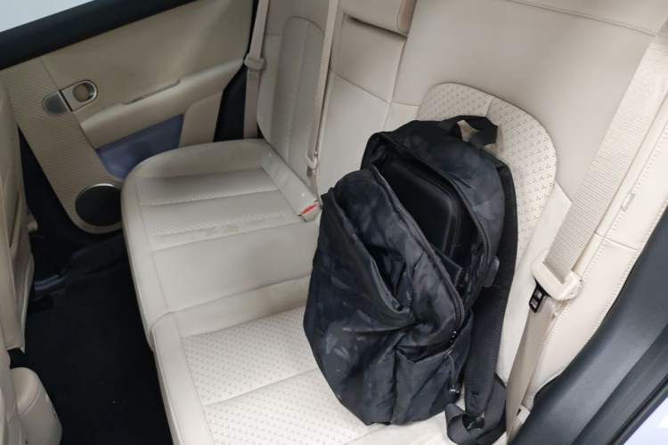 Used firefly 2025 Illuminated Edition Left Rear Seat