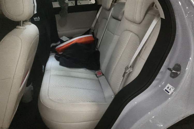 Used firefly 2025 Illuminated Edition Left Rear Seat