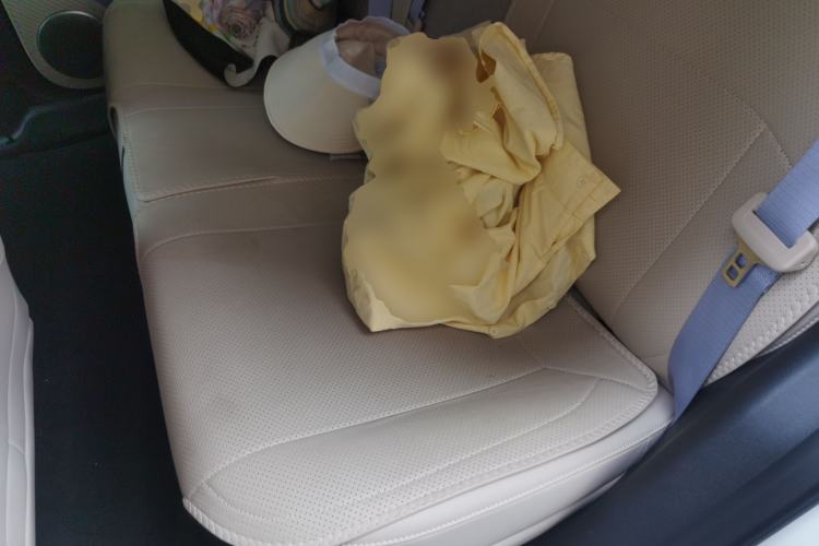 Used firefly 2025 Free Edition Left Rear Seat
