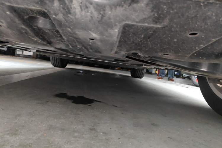 Used firefly 2025 Night Creature Special Edition Chassis Rear