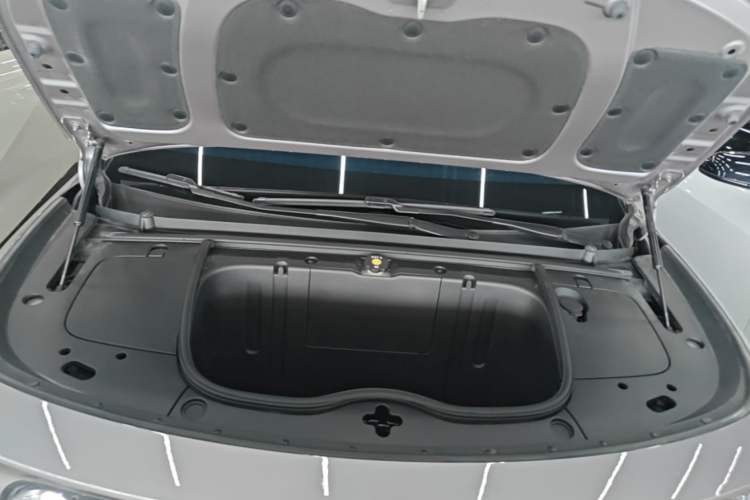 Used firefly 2025 Illuminated Edition Engine Bay