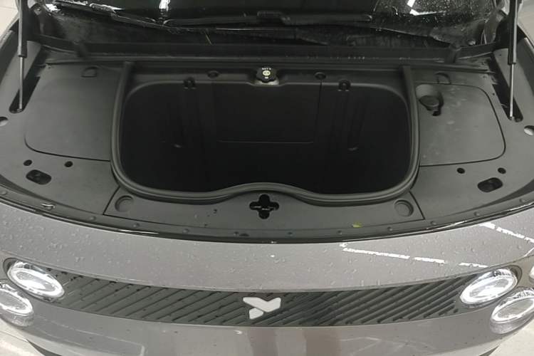 Used firefly 2025 Illuminated Edition Engine Bay