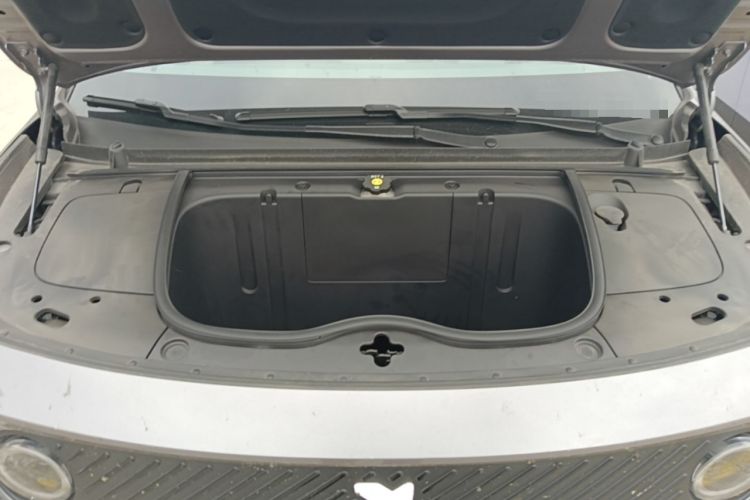 Used firefly 2025 Illuminated Edition Engine Bay