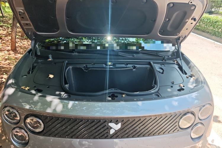 Used firefly  Engine Bay