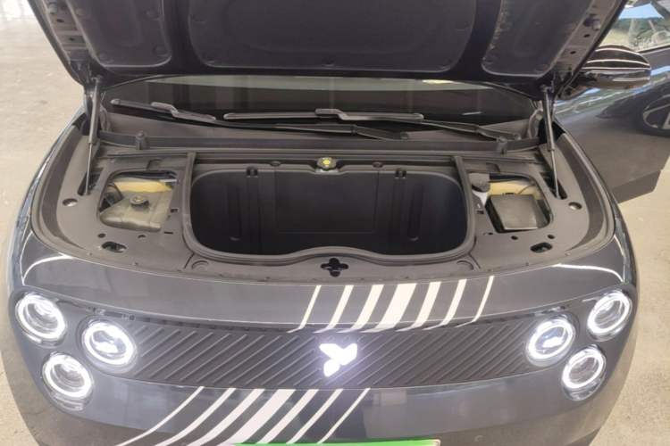 Used firefly 2025 Night Creature Special Edition Engine Bay