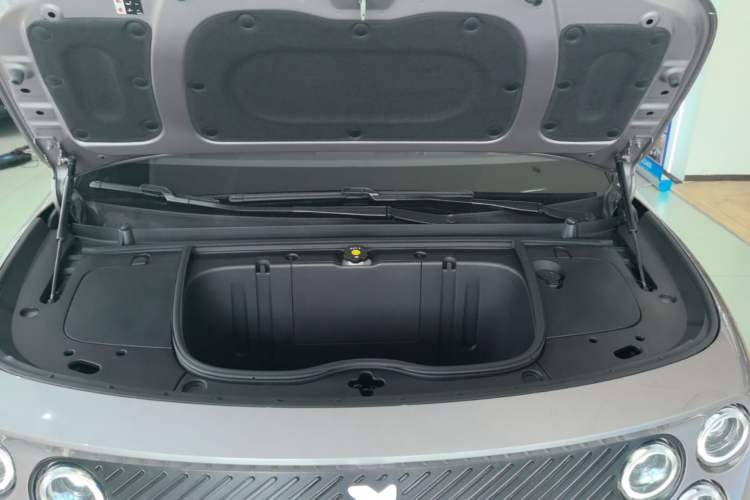 Used firefly 2025 Illuminated Edition Engine Bay