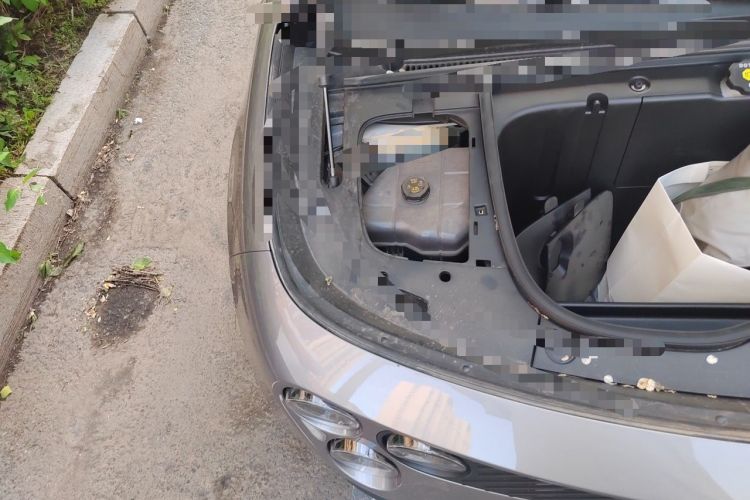 Used firefly 2025 Illuminated Edition Engine Bay Right