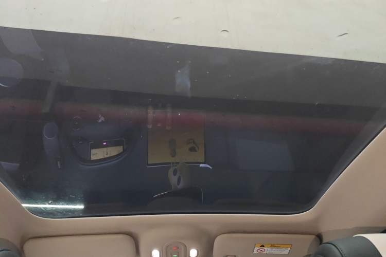 Used firefly 2025 Night Creature Special Edition Headliner