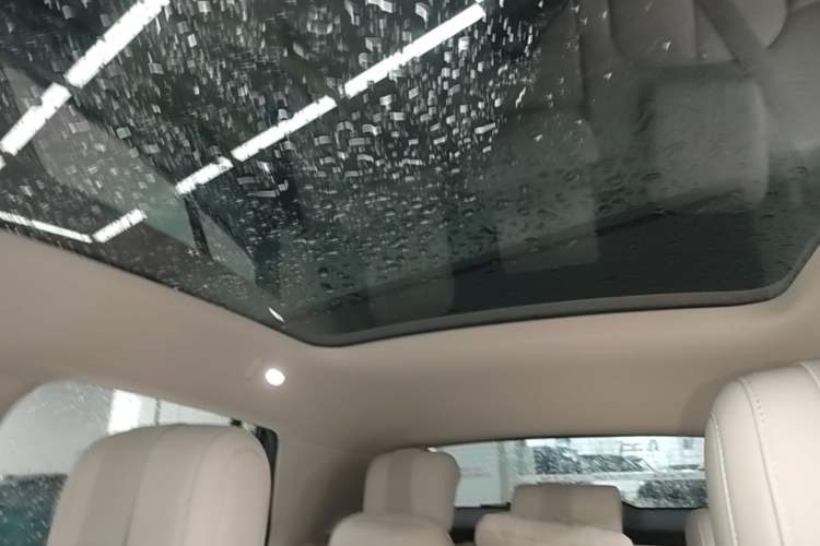 Used firefly 2025 Illuminated Edition Headliner