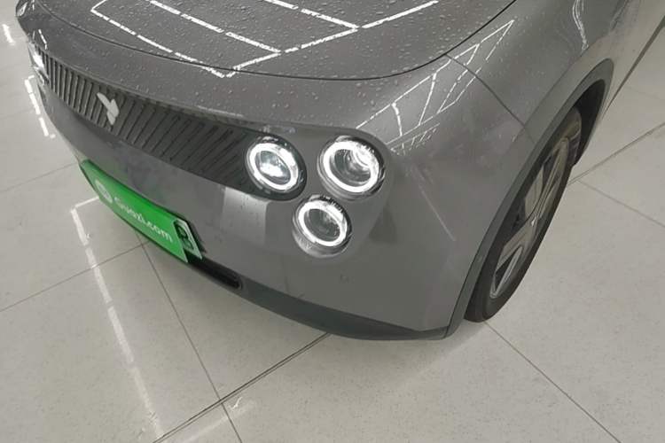 Used firefly 2025 Illuminated Edition Left Front Headlight