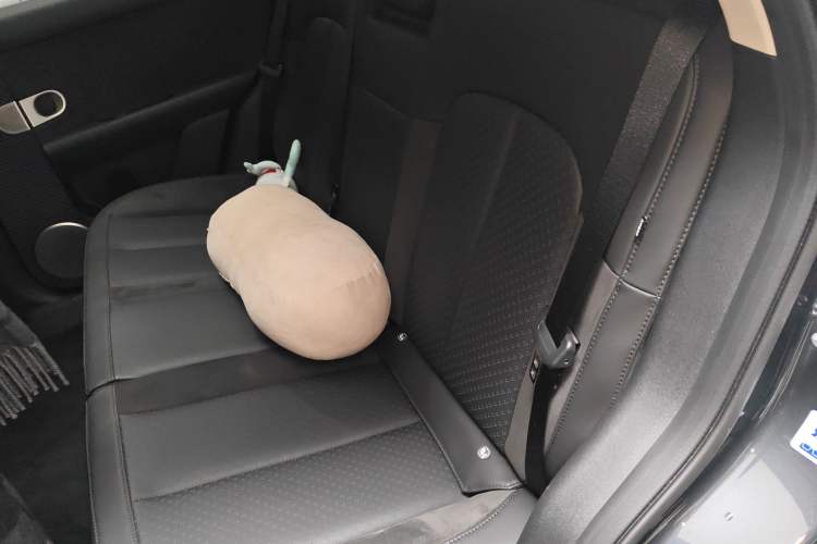 Used firefly 2025 Night Creature Special Edition Left Rear Seat
