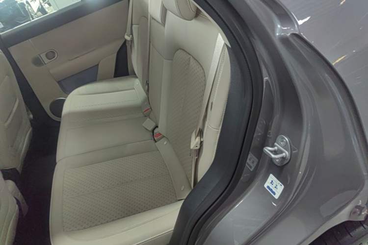 Used firefly 2025 Illuminated Edition Left Rear Seat