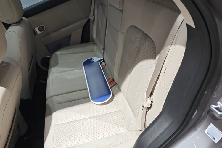 Used firefly 2025 Illuminated Edition Left Rear Seat