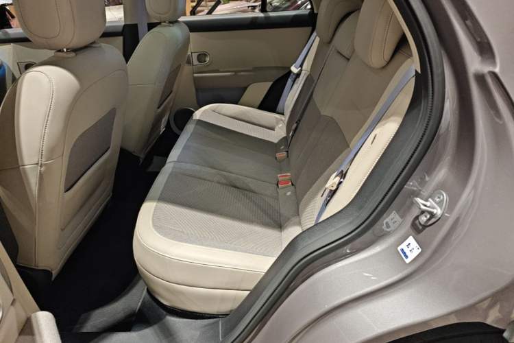 Used firefly 2025 Free Edition Left Rear Seat