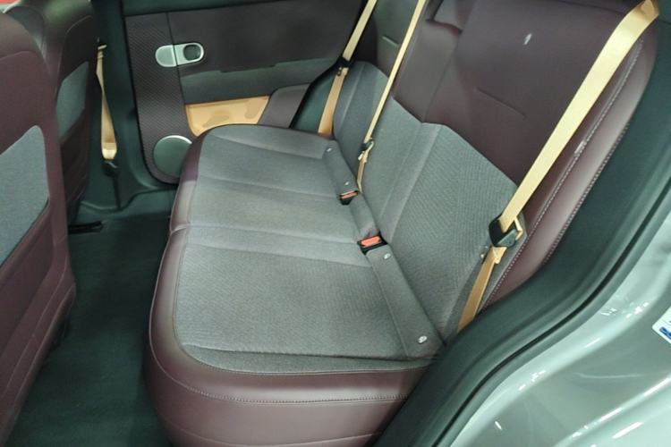 Used firefly 2025 Free Edition Left Rear Seat