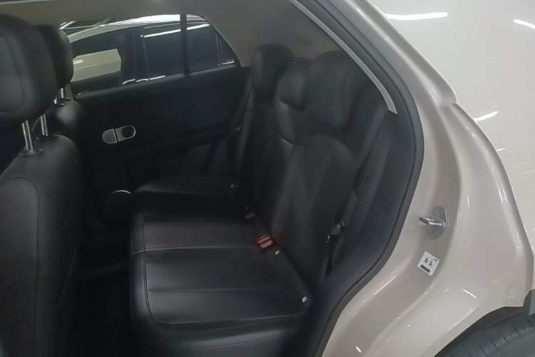 Used firefly 2025 Illuminated Edition Left Rear Seat