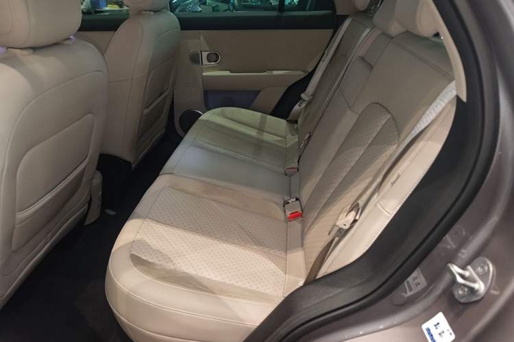 Used firefly 2025 Illuminated Edition Left Rear Seat