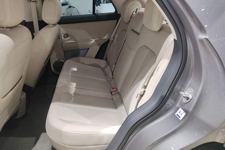 Used firefly 2025 Illuminated Edition Left Rear Seat