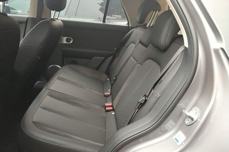 Used firefly 2025 Illuminated Edition Left Rear Seat