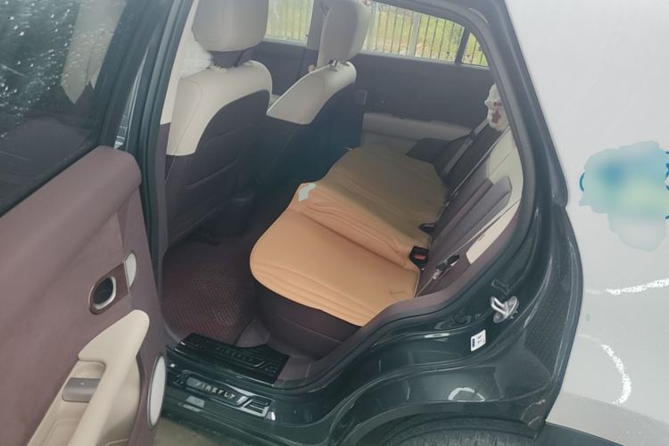 Used firefly 2025 Night Creature Special Edition Left Rear Seat