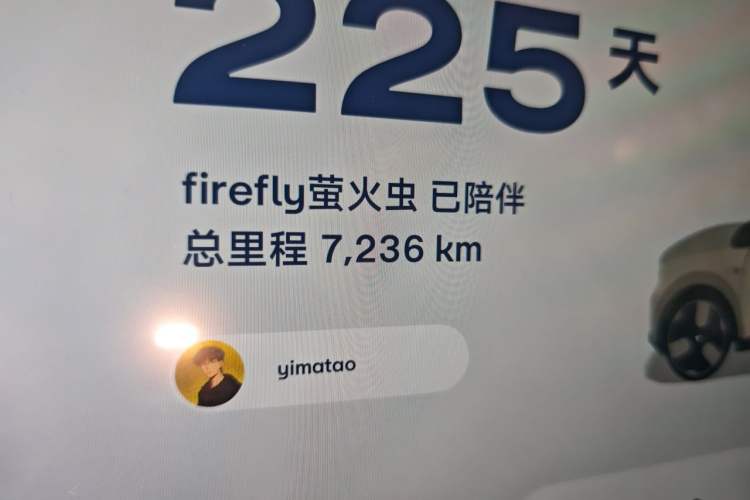 Used firefly  Odometer Close Up