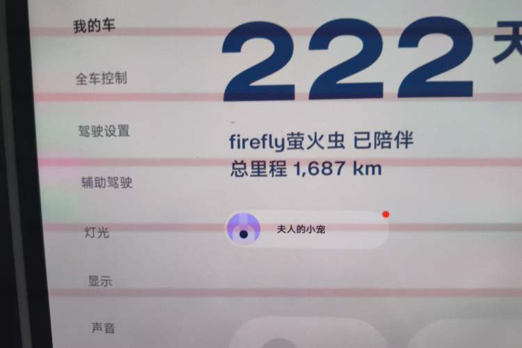 Used firefly 2025 Illuminated Edition Odometer Close Up