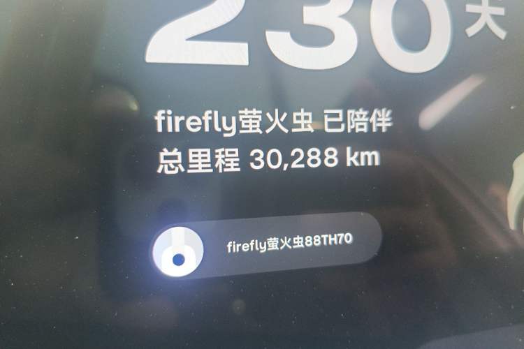 Used firefly 2025 Illuminated Edition Odometer Close Up