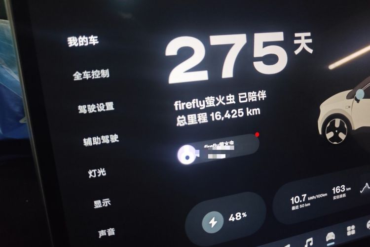 Used firefly 2025 Illuminated Edition Odometer Close Up