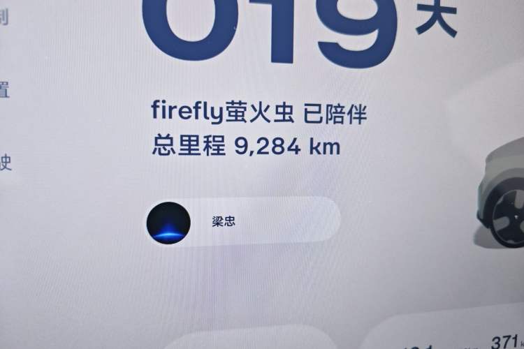 Used firefly  Odometer Close Up
