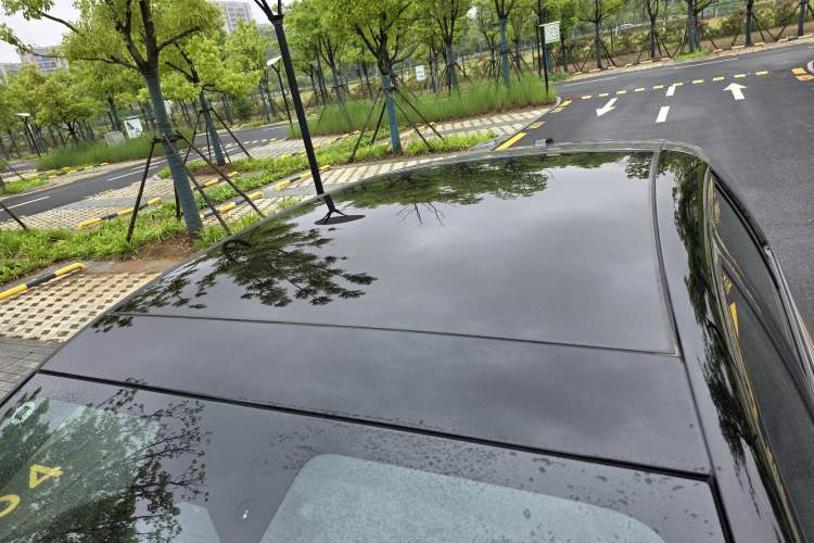 Used firefly 2025 Free Edition Roof